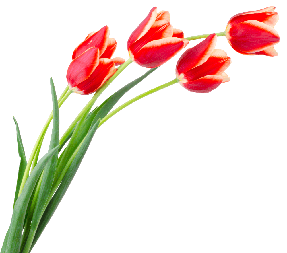 Picket Fences Realty Fairmont WV